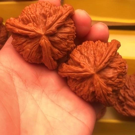 中***者核桃核桃核桃核桃核桃核桃