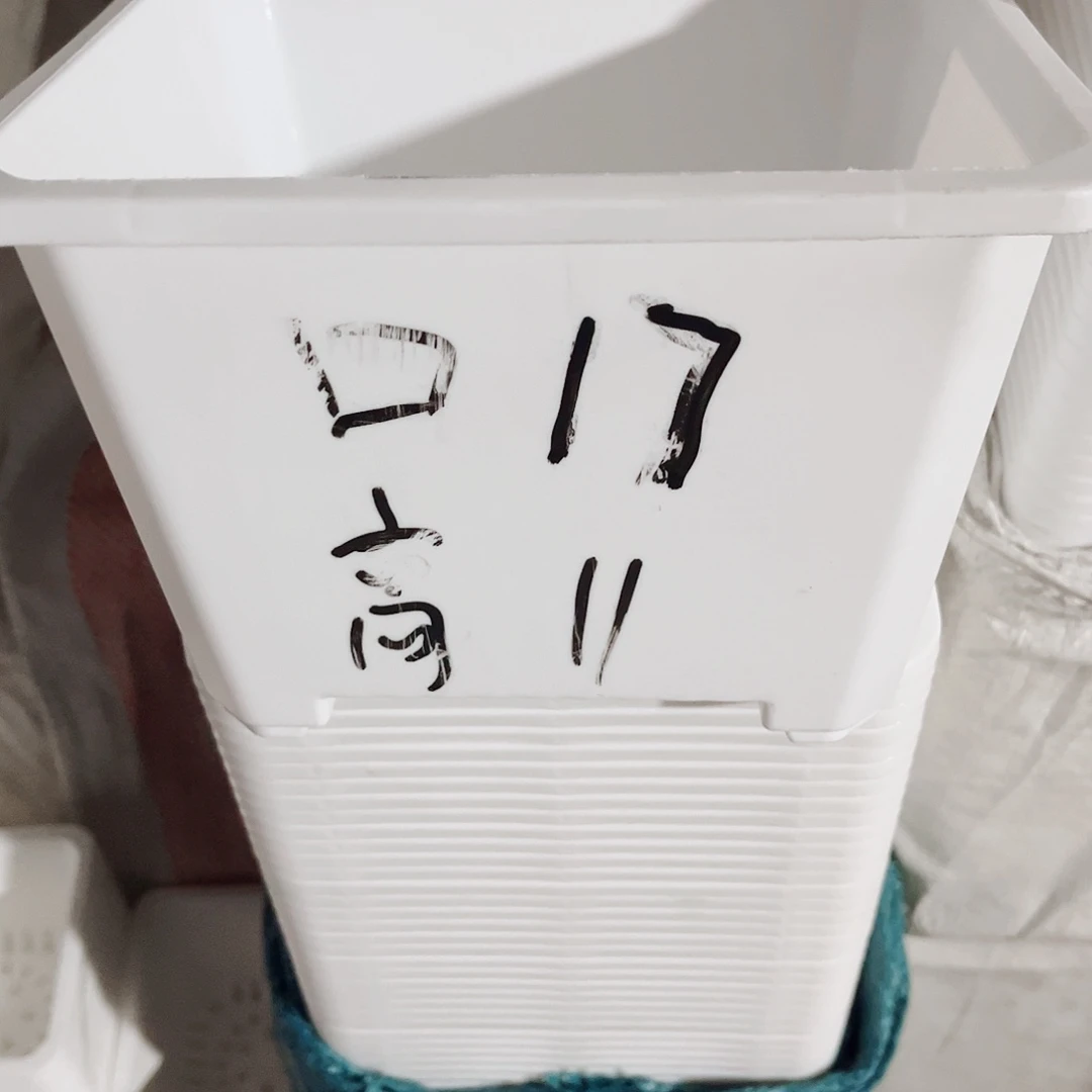 塑料福利款17方白色盆20个无托