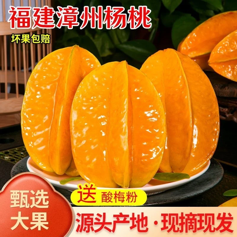 【顺丰】树上熟杨桃新鲜杨桃水果新鲜现摘现发应季水果产地农产品