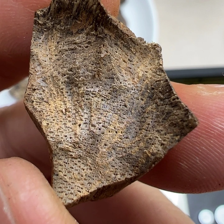 拿***！沉香碎屑沉香香港土熟包头0.93g