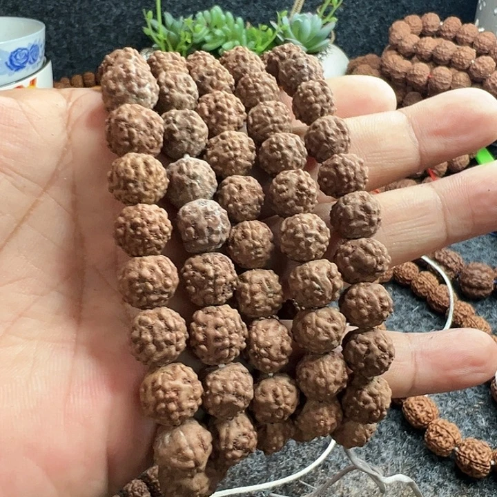 手串金刚菩提金蟾纹长串111颗籽做双圈手持