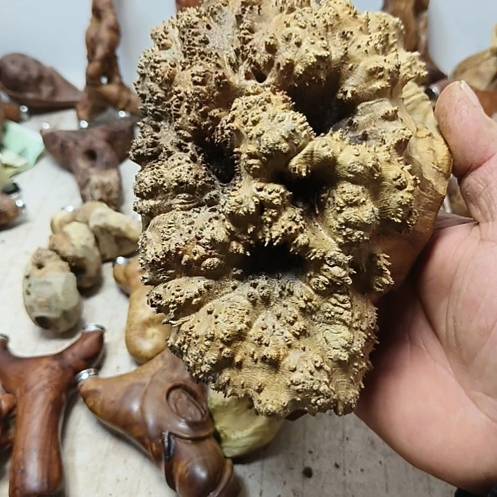 梨木老***猫麻梨疙瘩弹弓