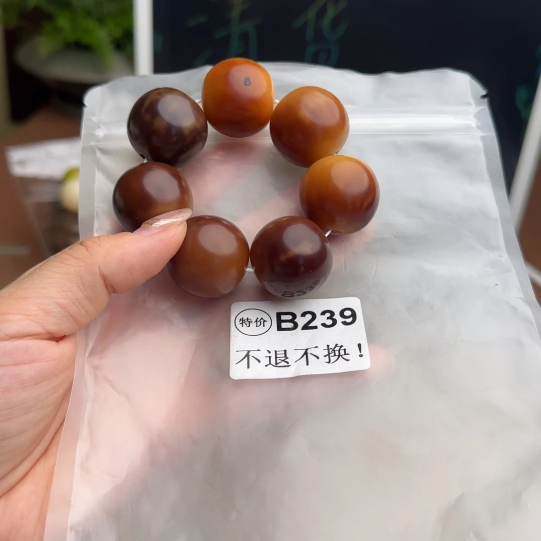 手串菩提根/象牙果B239大瑕不退不换