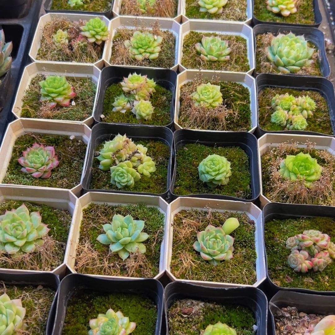 191的人了还在等什么呢