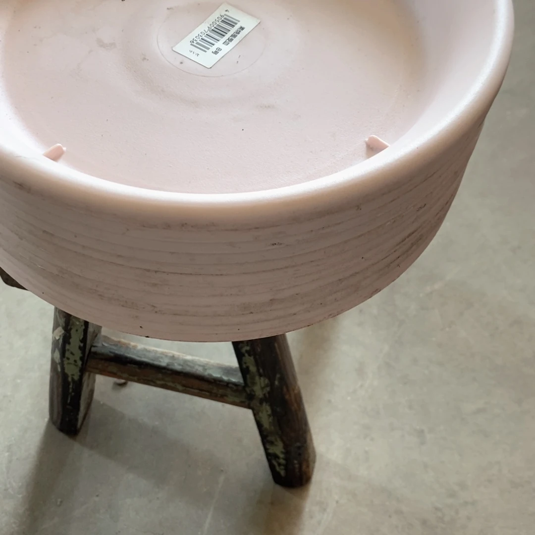 冬* 8号粉色托12个