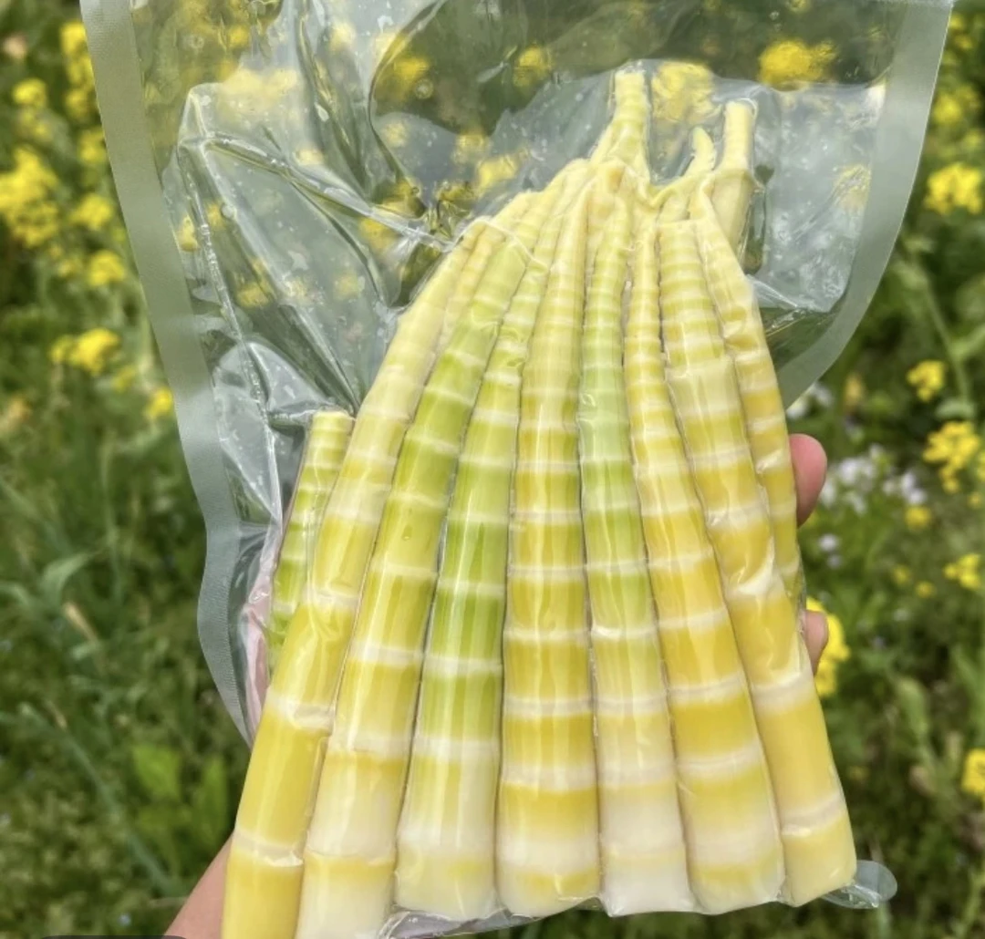 云南高山野生方竹笋（顺丰包邮）