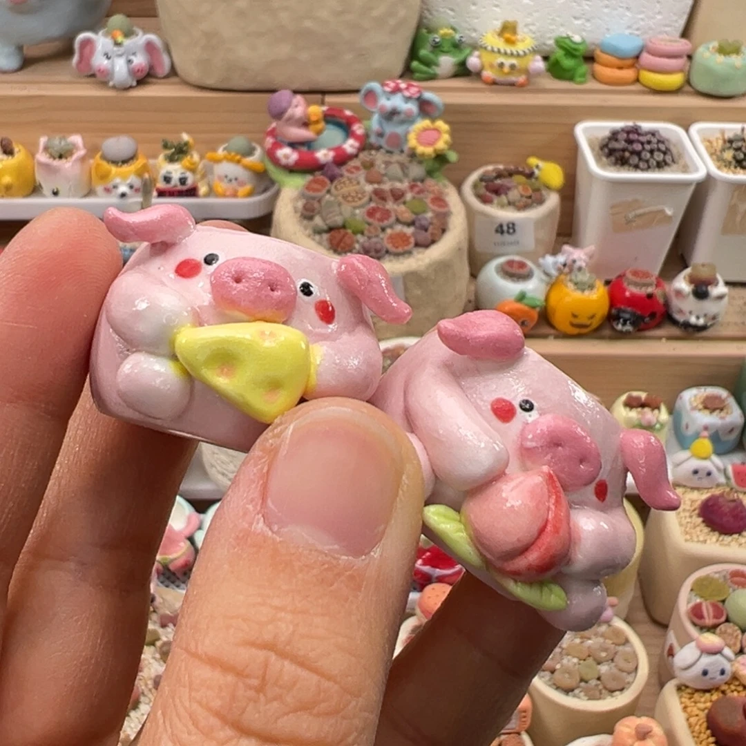 多肉植物152号一对盆