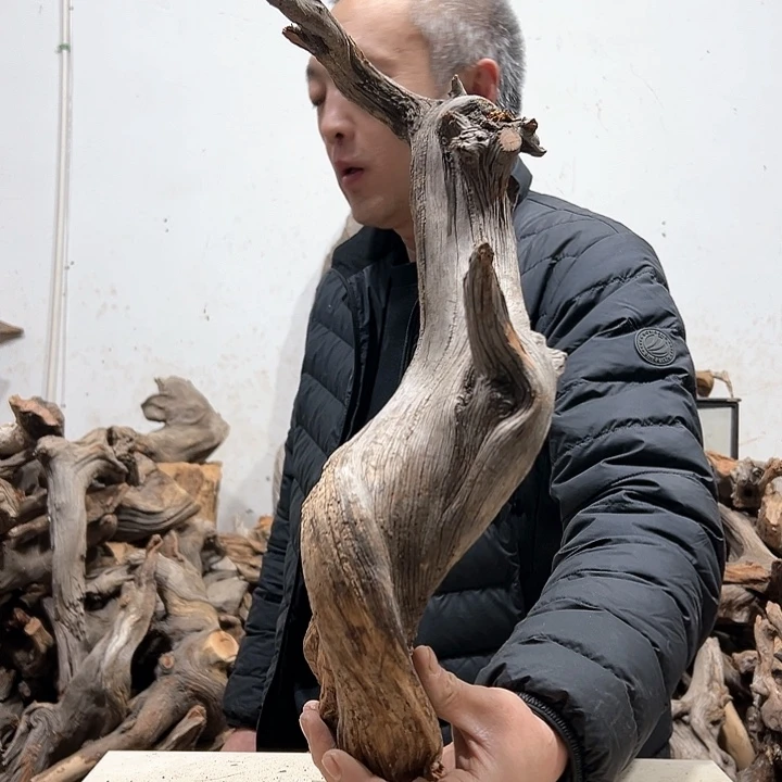 柏木图*在我们的生活也是如此