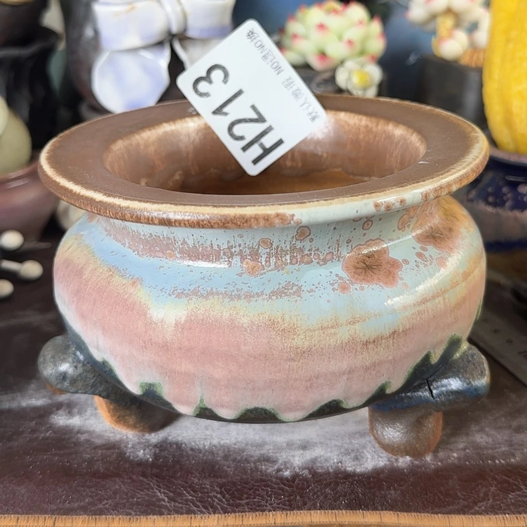 重庆小燕子欢迎大家213