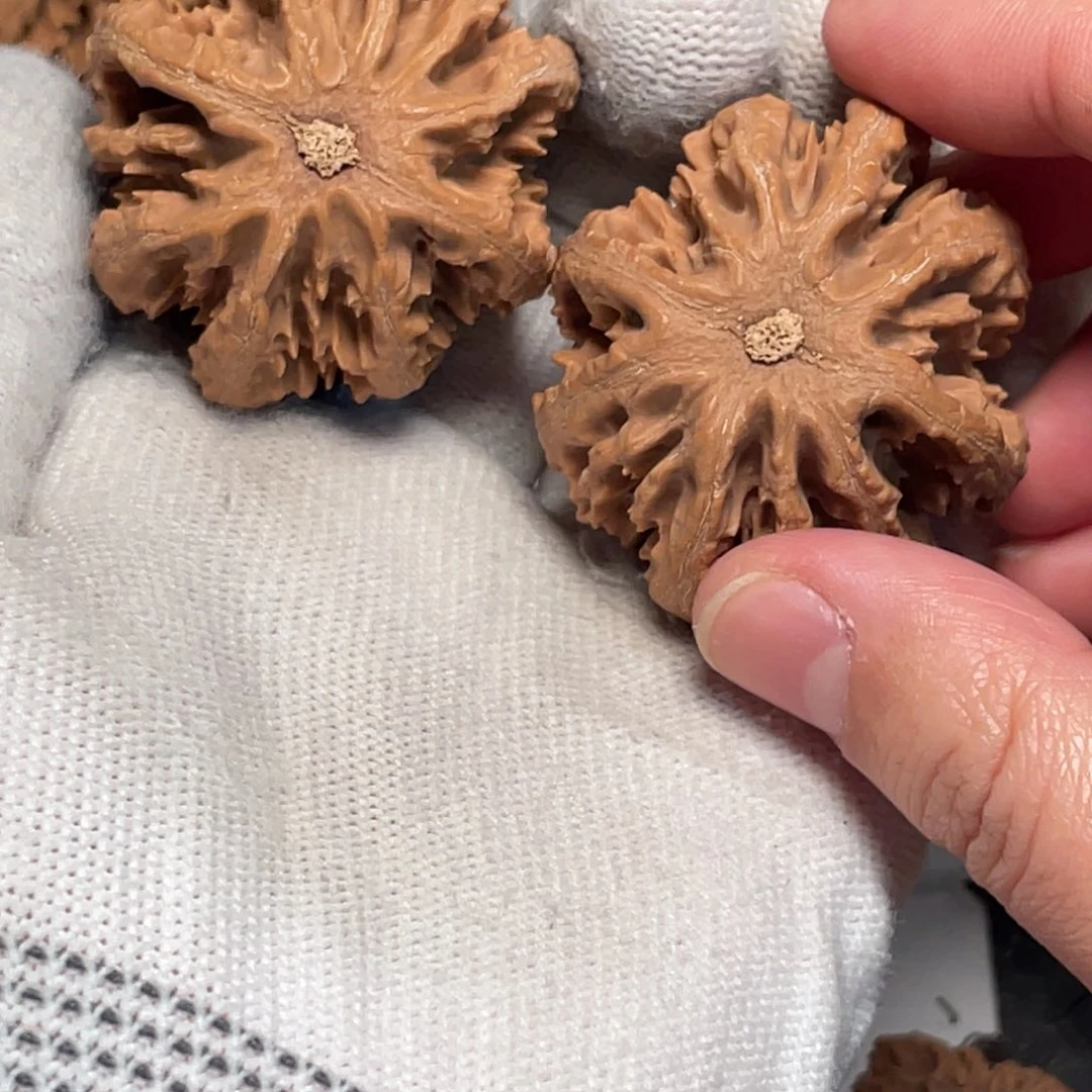 追***贼桃核把件8秦岭灯笼野生小众