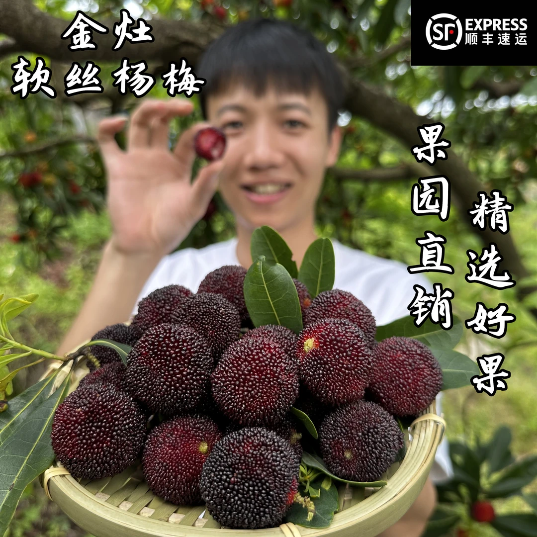金灶阿源正宗金灶本地软丝杨梅高山杨梅现摘现发孕妇水果2/4斤