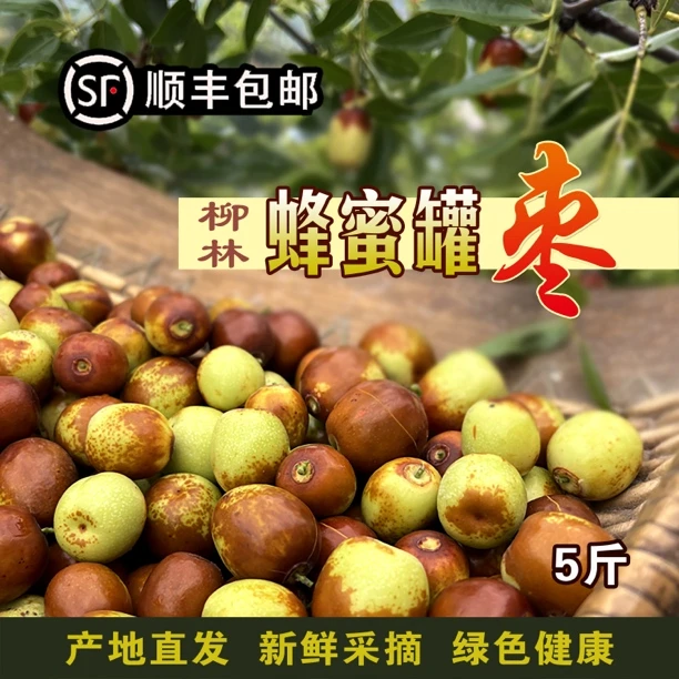 蜂蜜罐枣【顺丰包邮】脆甜多汁5斤 大小果混装 柳林黄河边