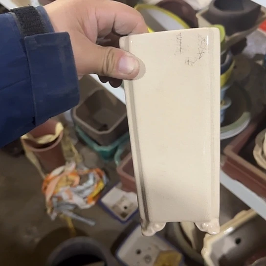 这一期太有意思咯太开心打酱油