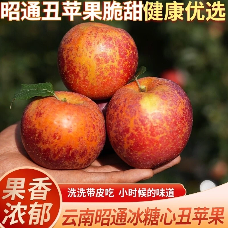 当季云南昭通丑苹果冰糖心新鲜红富士水果脆甜云南昭通糖心丑苹果