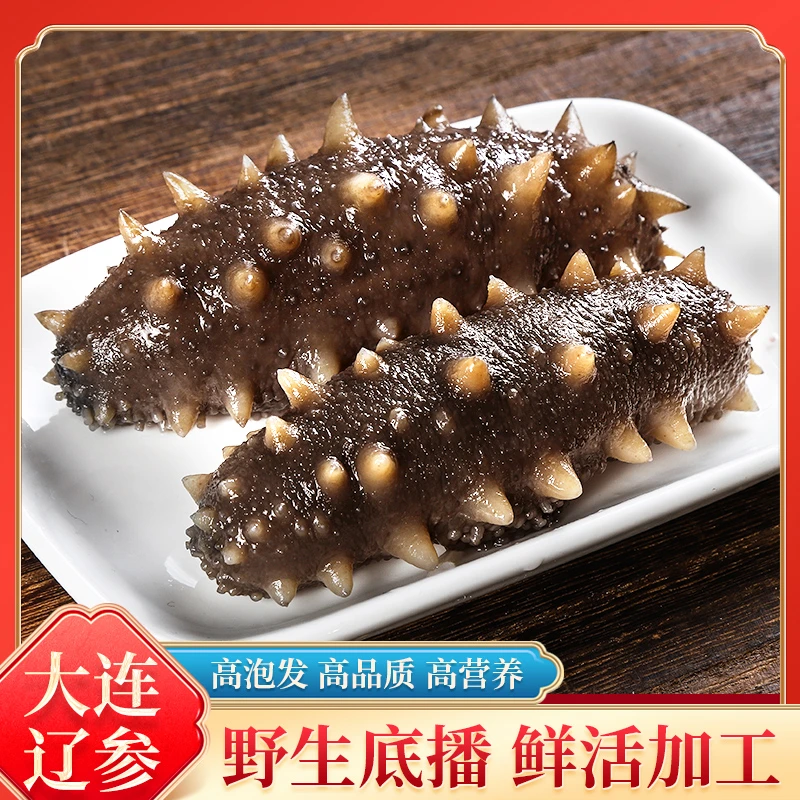 独立包装/一斤12-15头 鲜食海参独立包装底播野生