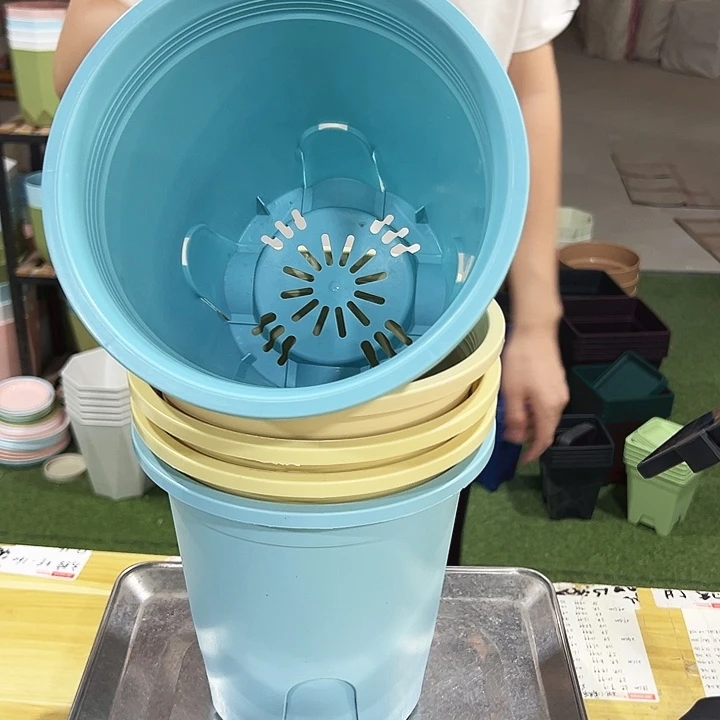 特价圆控口21高21混色无托5只