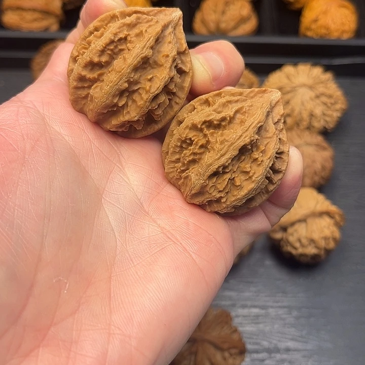 核桃秦岭山脉中段怒江与澜沧江