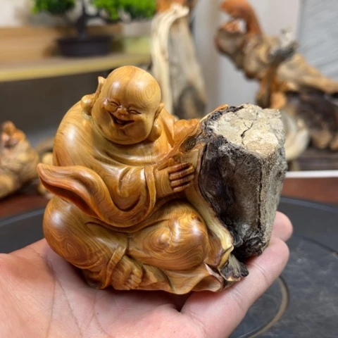 柏木（崖柏） v b b b b b j j k