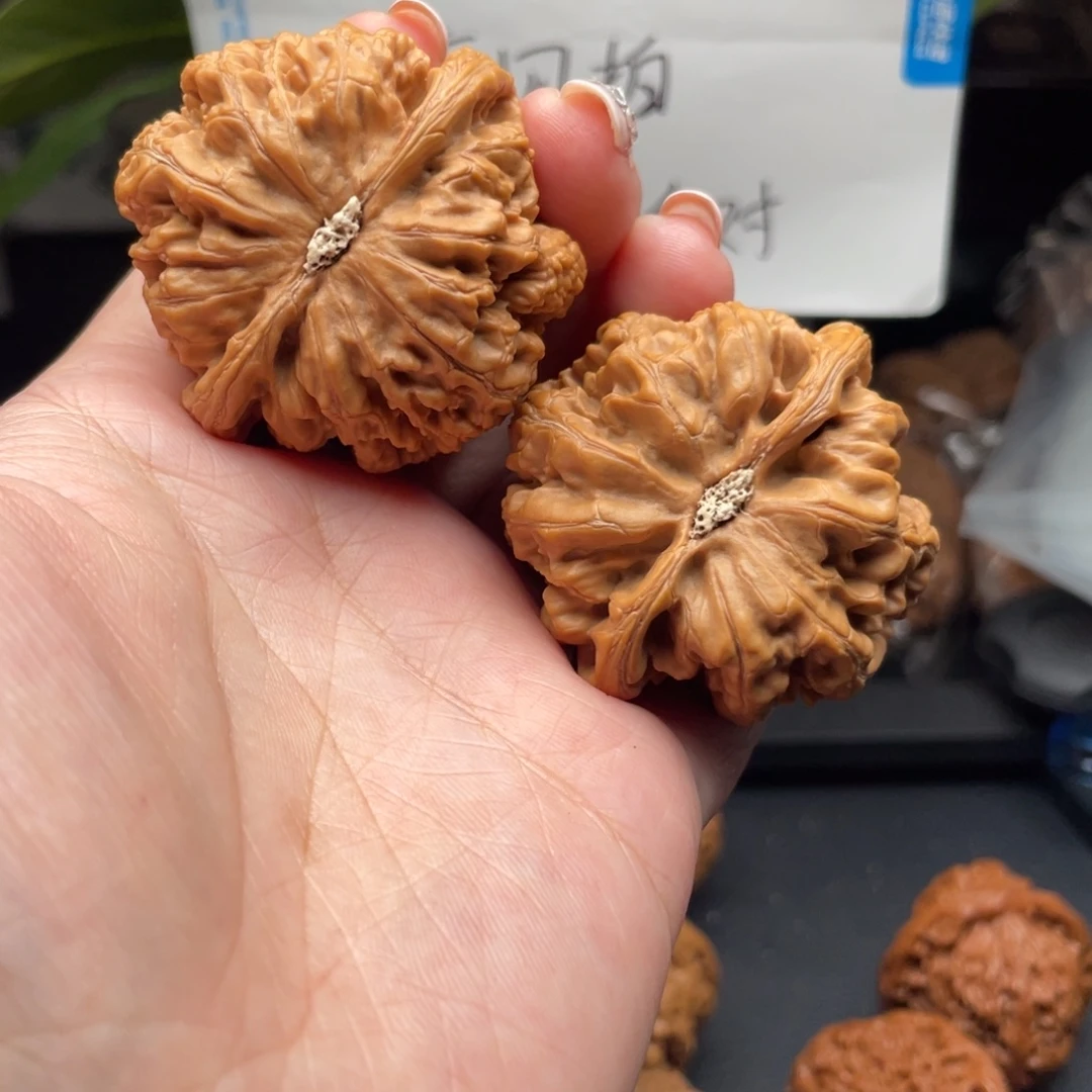 钞***人文玩核桃把件粗筋