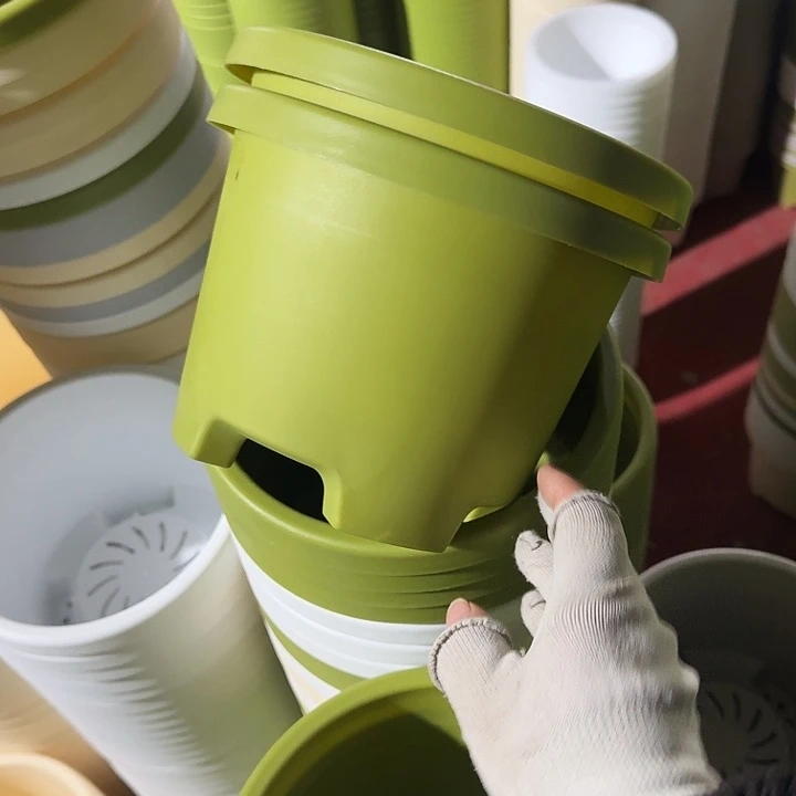 球根21口径6个无托果绿