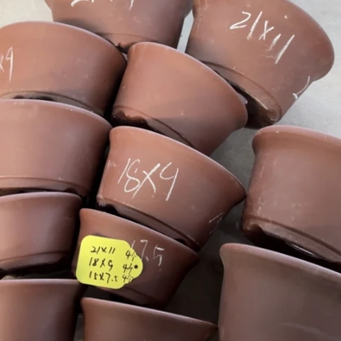 100-12。  组合。