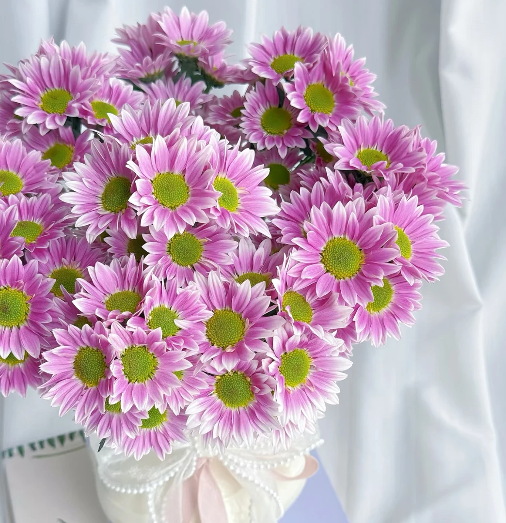 【典韵小雏菊AK】10枝指定色小雏菊| 全场任意满两单鲜花包邮