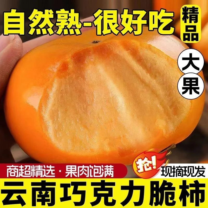 云南脆柿巧克力甜脆柿子新鲜现摘脆甜多汁不涩无籽应季水果柿批发