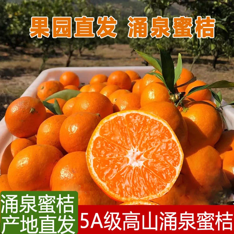 正宗涌泉蜜桔高山早熟临海原产地发货现摘现发新鲜无打蜡无核桔子