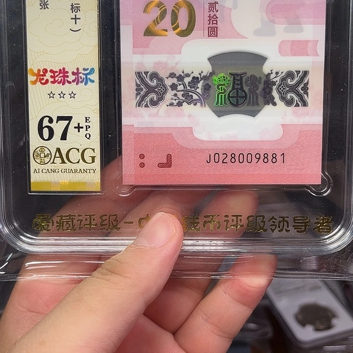 塑料蛇钞啊啊啊啊啊啊啊啊啊啊