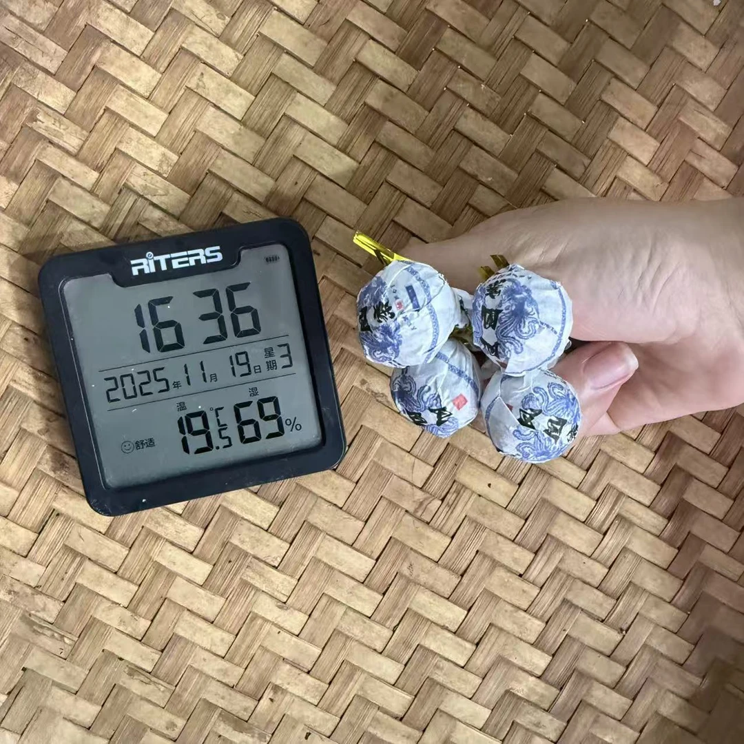 2024年凤凰老寨古树普洱生茶龙珠FN2号11月19日
