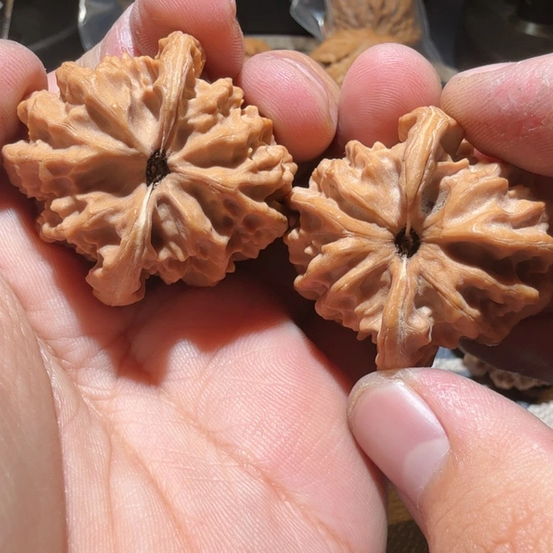 文玩核桃把件曹大龙