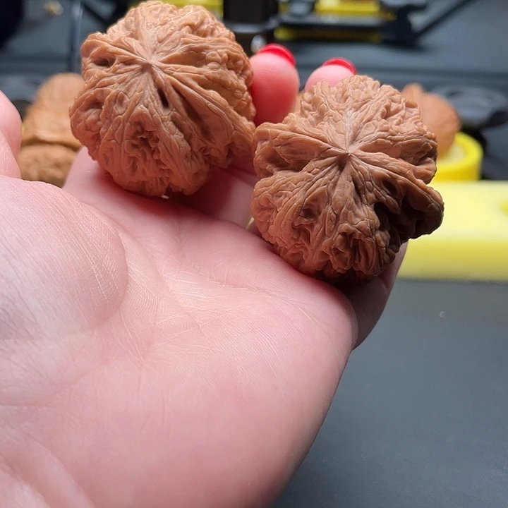 全品无修平谷大粗筋44/44/41