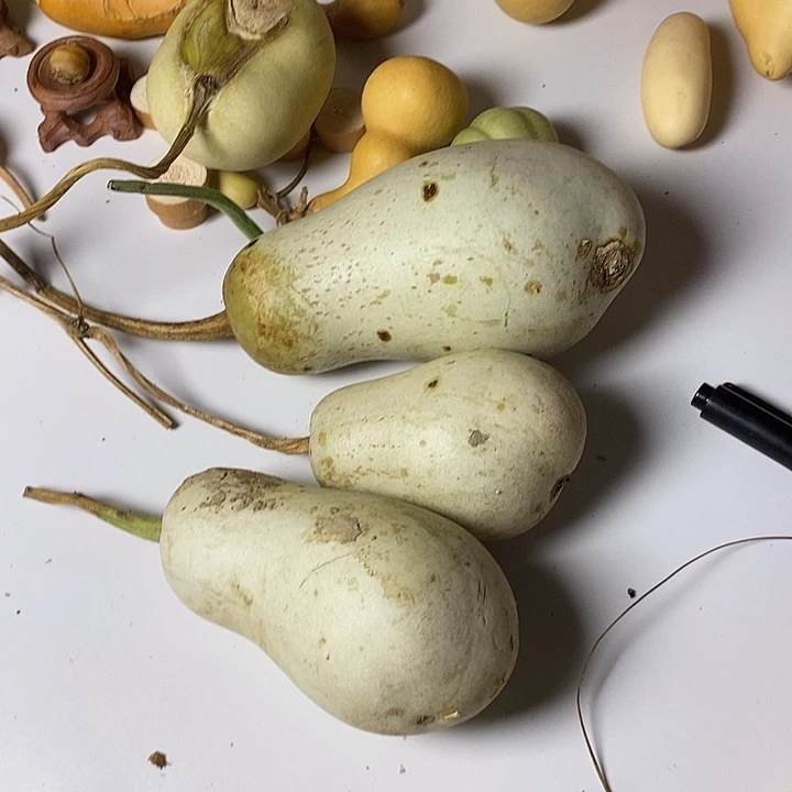 樊***梵青皮葫芦异性手把件