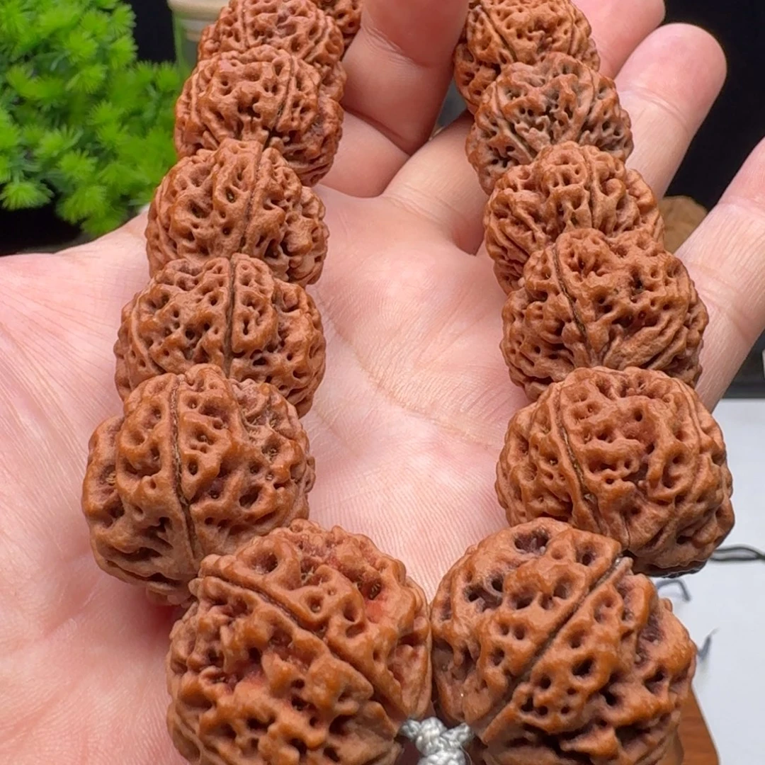 正***云手串金刚菩提梁蜂王