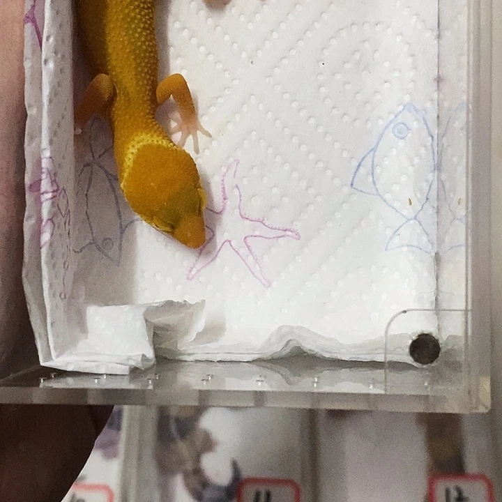 精品阳光银河呃呃呃的