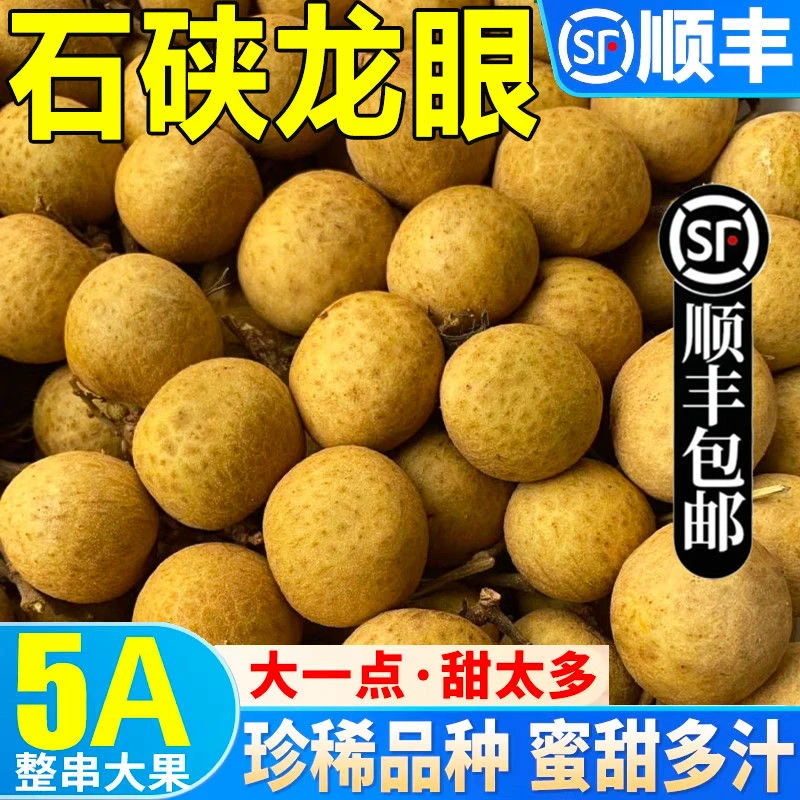 【顺丰】广东高州老树石硖龙眼现摘现发清甜多汁当季水果五斤装包邮