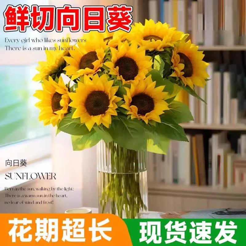 向日葵鲜花花束客厅摆设云南基地直发太阳花花瓶插花水养鲜切花