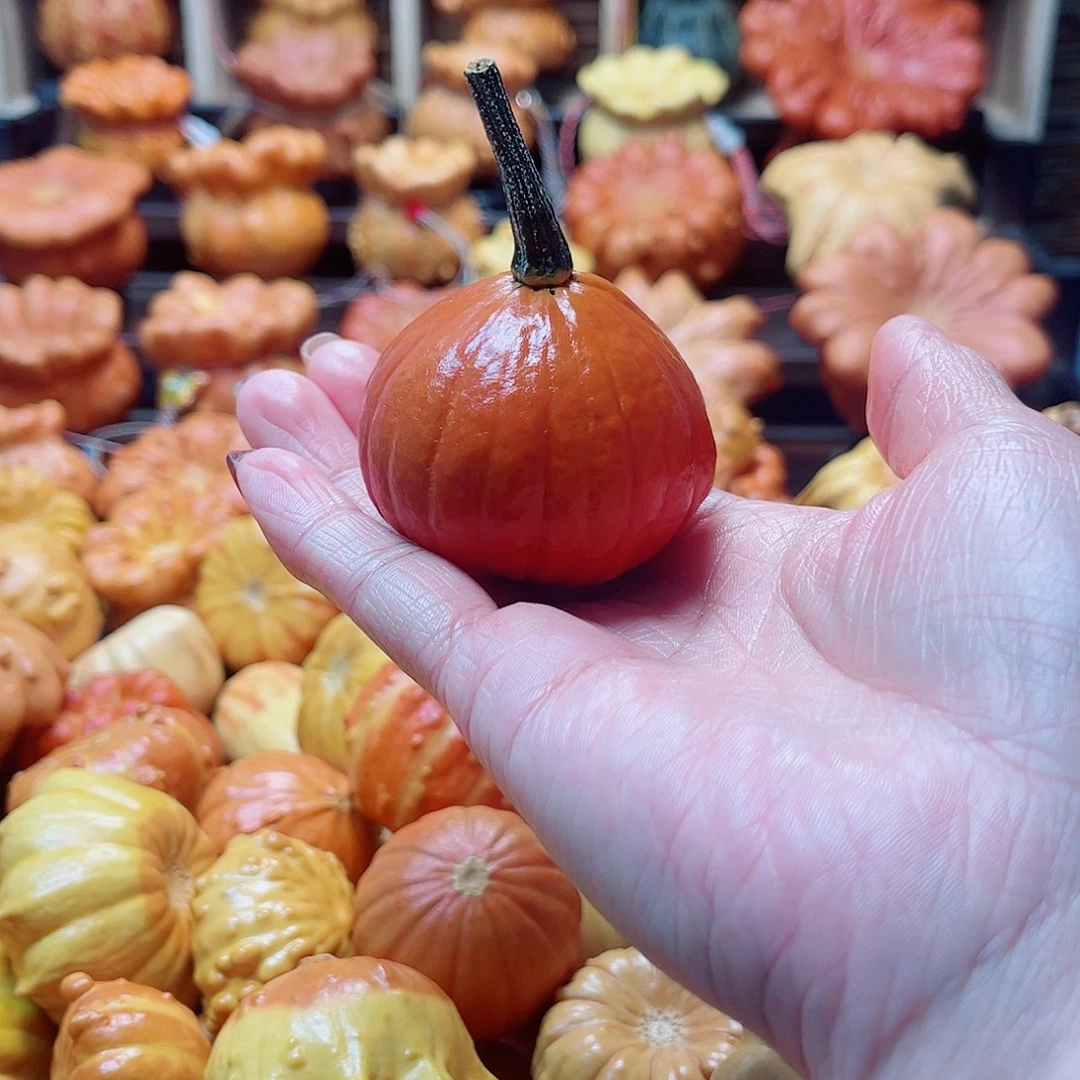 夜***灯大叶紫檀（黑酸枝木类）