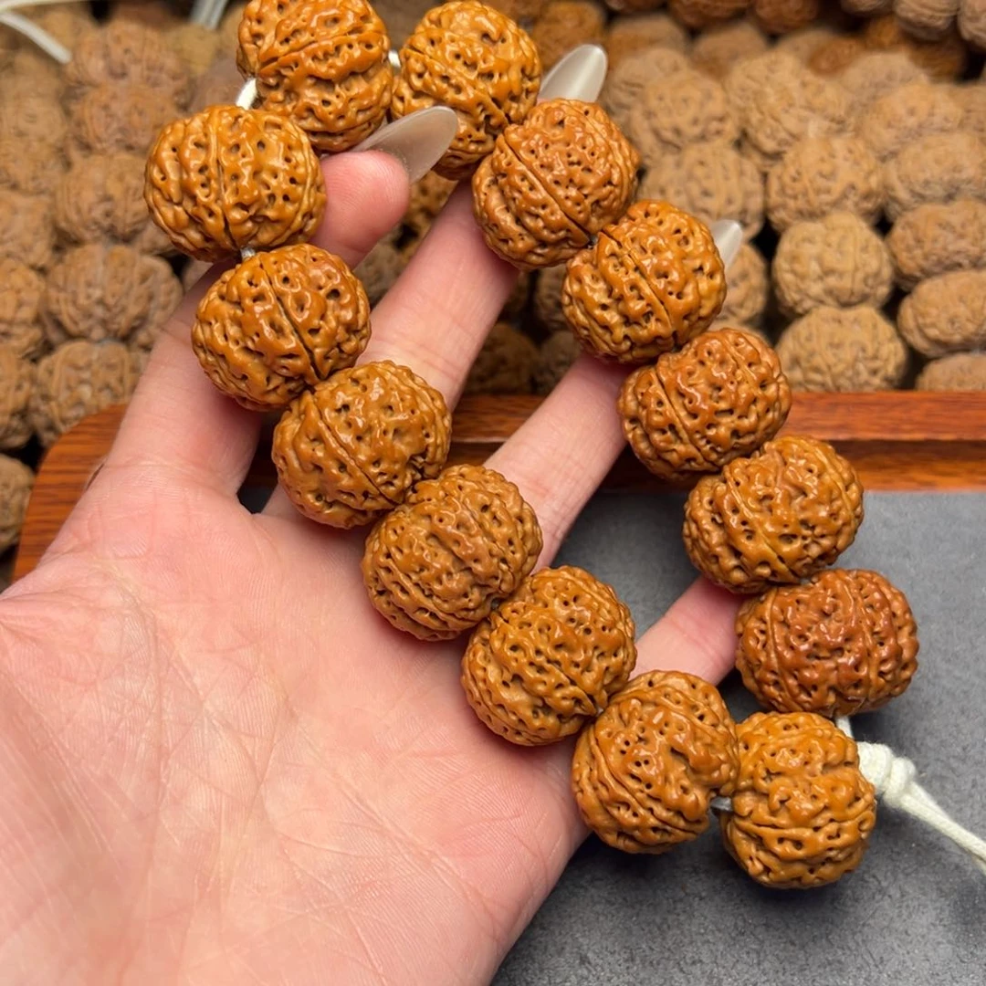 菩提3号尼泊尔大金刚24六瓣梅花蜂窝