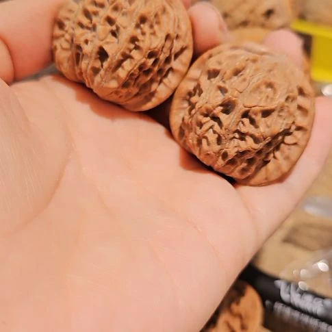 文玩核桃吊坠38血麒麟