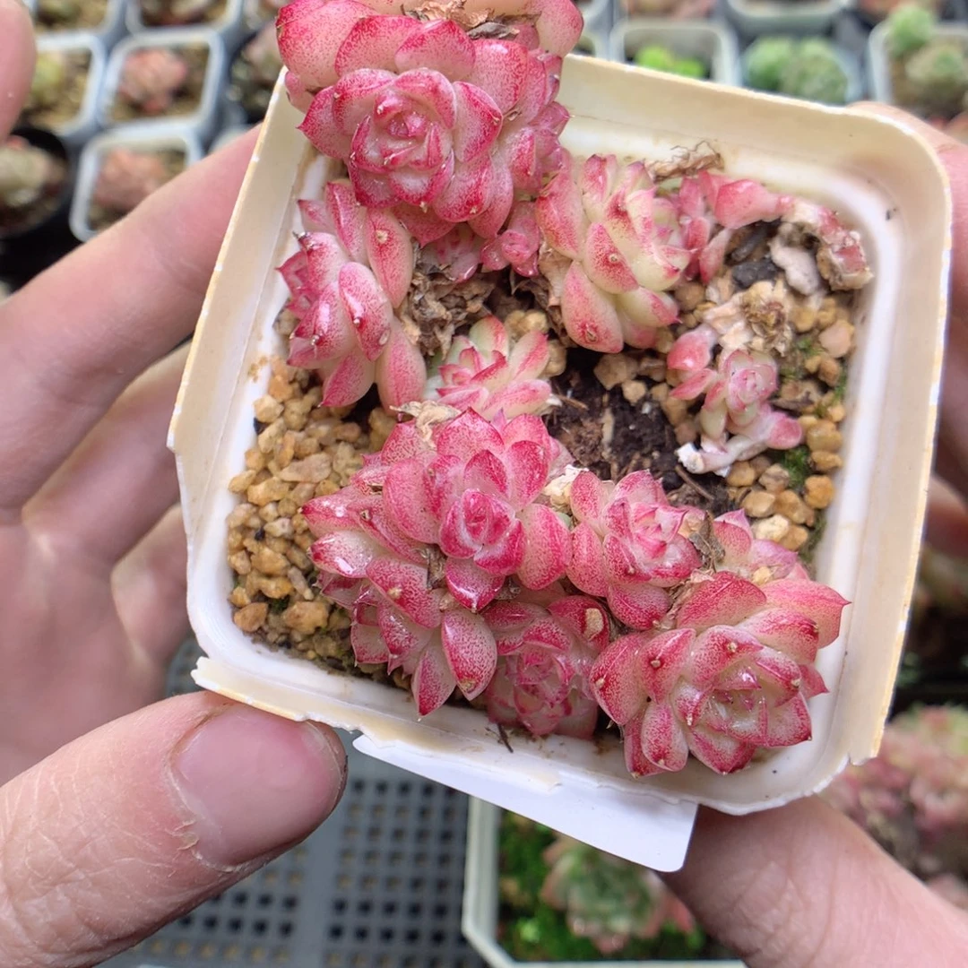 X76y y y y y y y y y y y