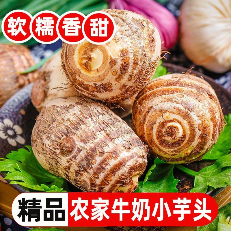 【头茬鲜果】正宗云南高山牛奶小芋头 新鲜应季 现挖 辅食 粉糯香甜