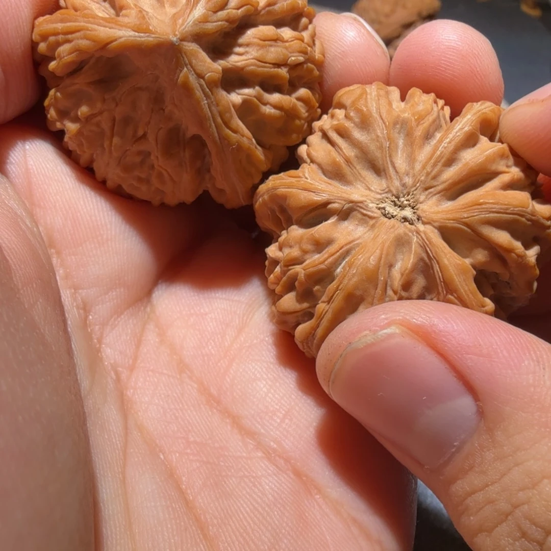 三***哥文玩核桃把件御龙正奔