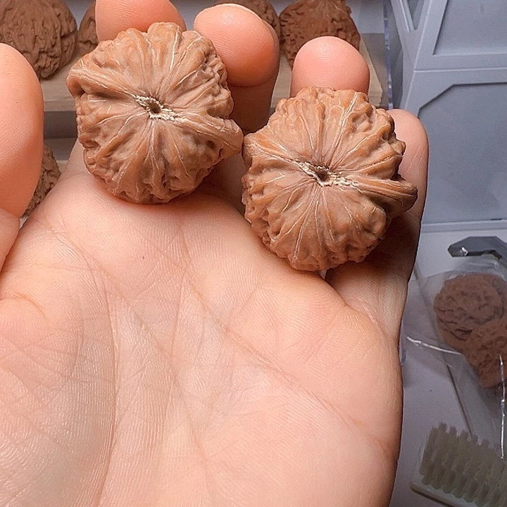 略***六铁锤妹妹尺寸36，包邮