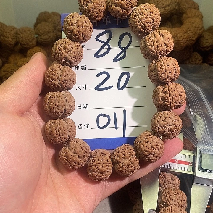 水***物金刚菩提手串011号金刚