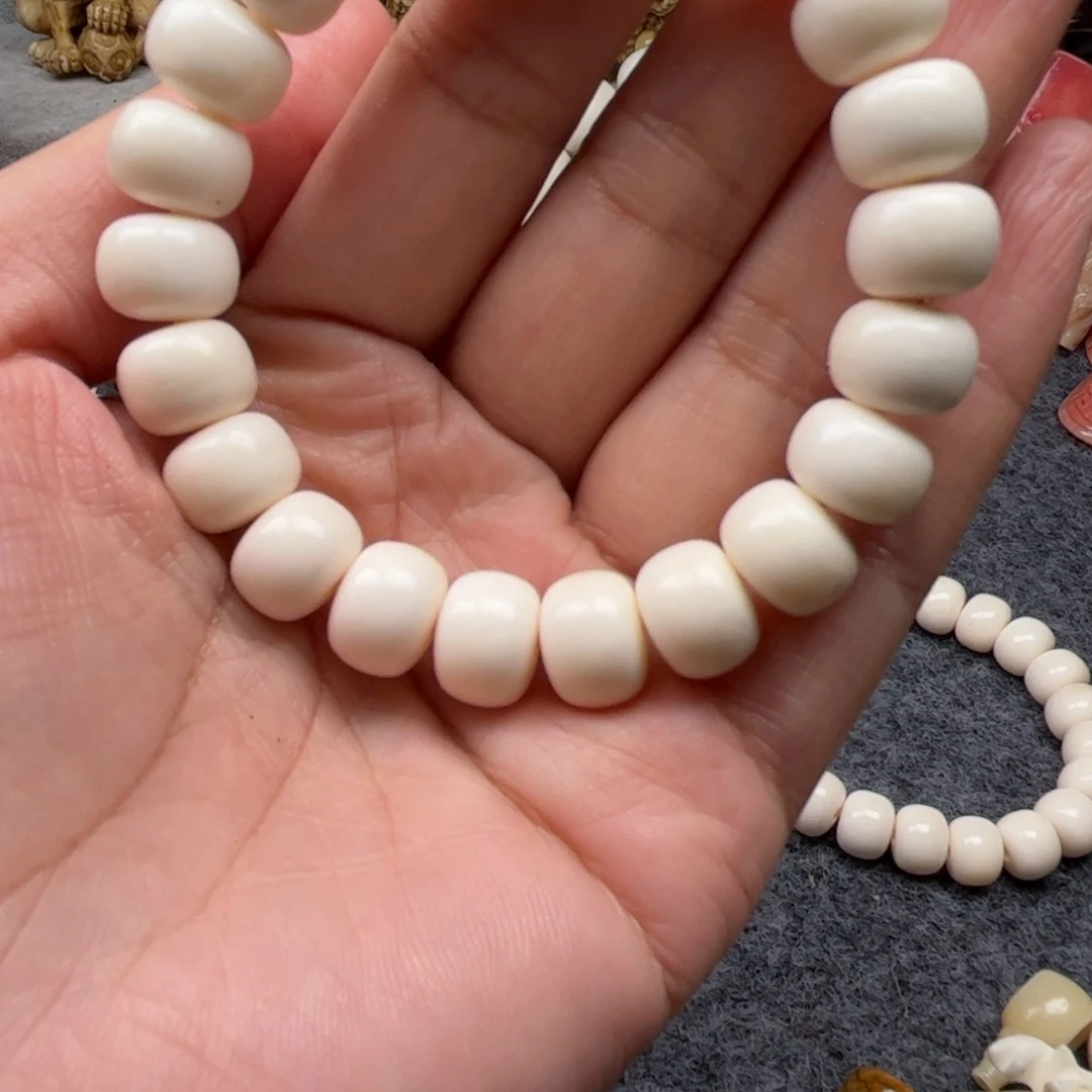 鹿骨其他人工养殖驼骨54