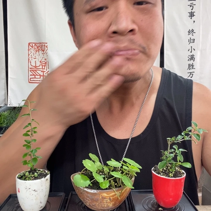 一物一拍所见即所得273