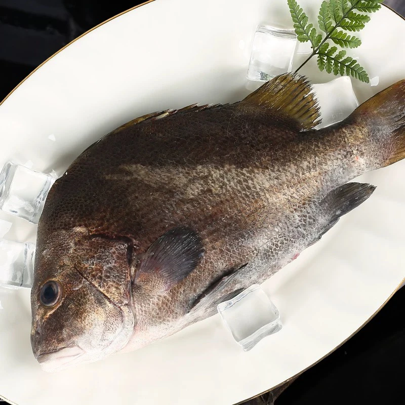 野生海捕包公鱼7斤 顺丰包邮