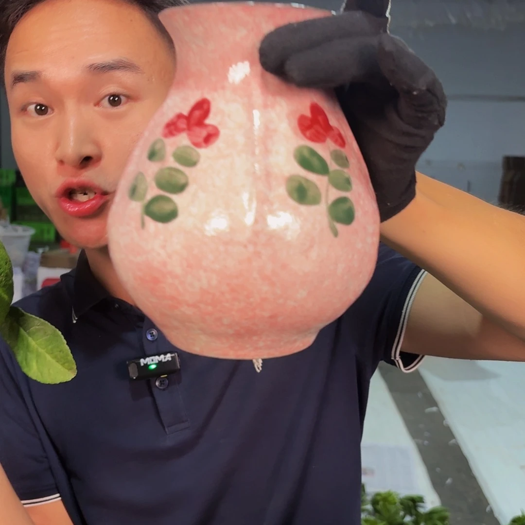 手绘粉色花瓶放佛手柑。