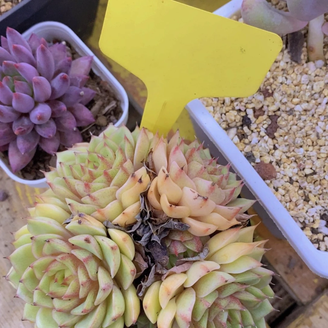 清货场，仅限今天，不对